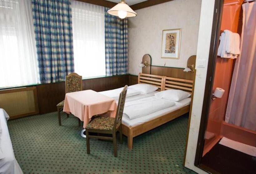 Fotos del hotel Hadrigan:  20