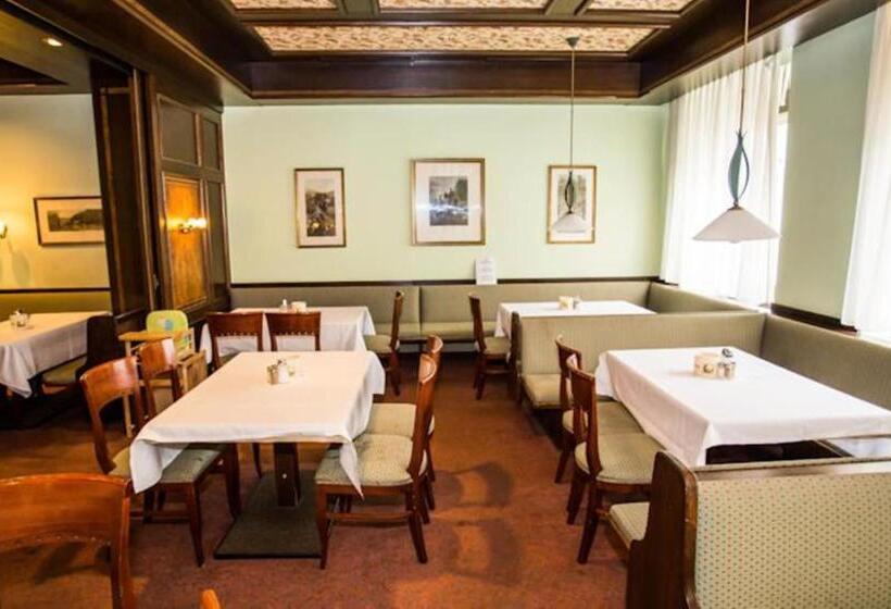 Fotos del hotel Hadrigan:  17