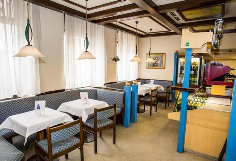 Fotos del hotel Hadrigan:  10