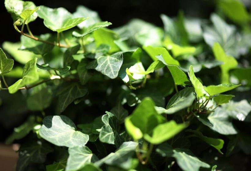 Fotos del hotel Holiday Inn Vienna City, An Ihg:  21