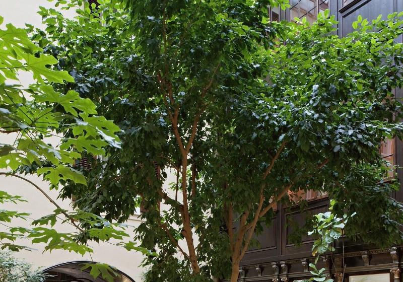 Fotos del hotel König Von Ungarn:  12