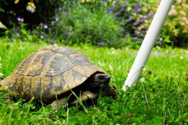 هتل Markus Sittikus Salzburg