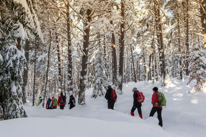 Szálloda Park Seefeld