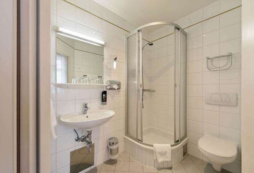 בית מלון כפרי Pension Baronesse