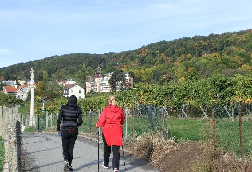 Fotos del hotel Schild:  2