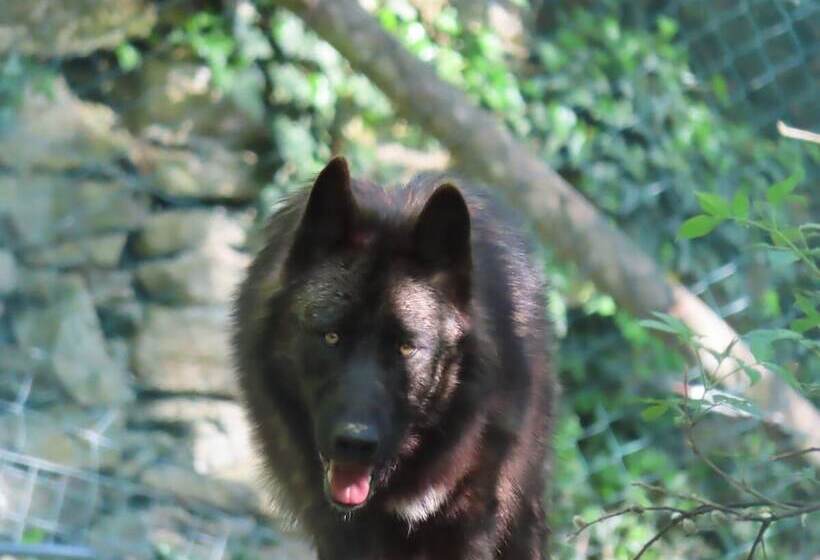 فندق Vier Jahreszeiten Loipersdorf