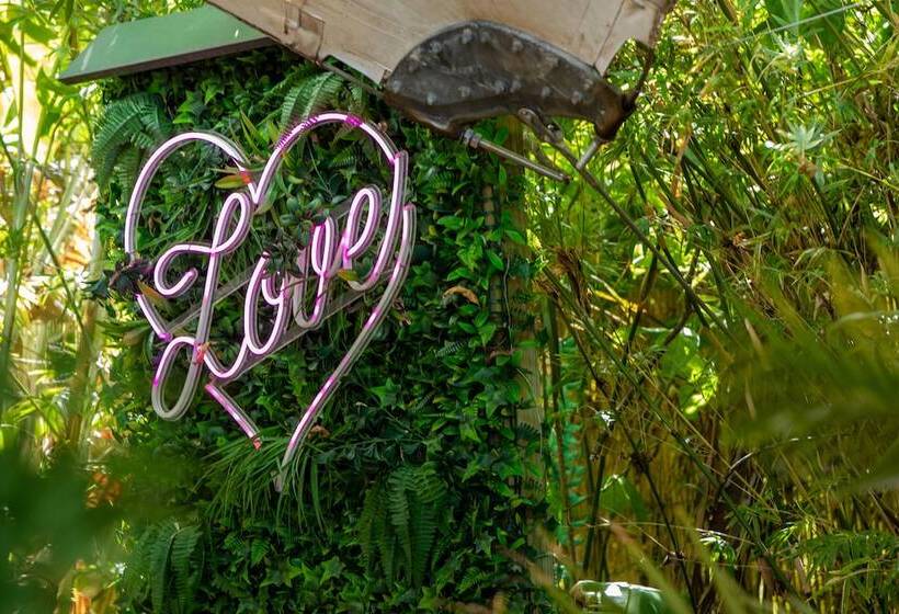 هتل Cairns Harbourside