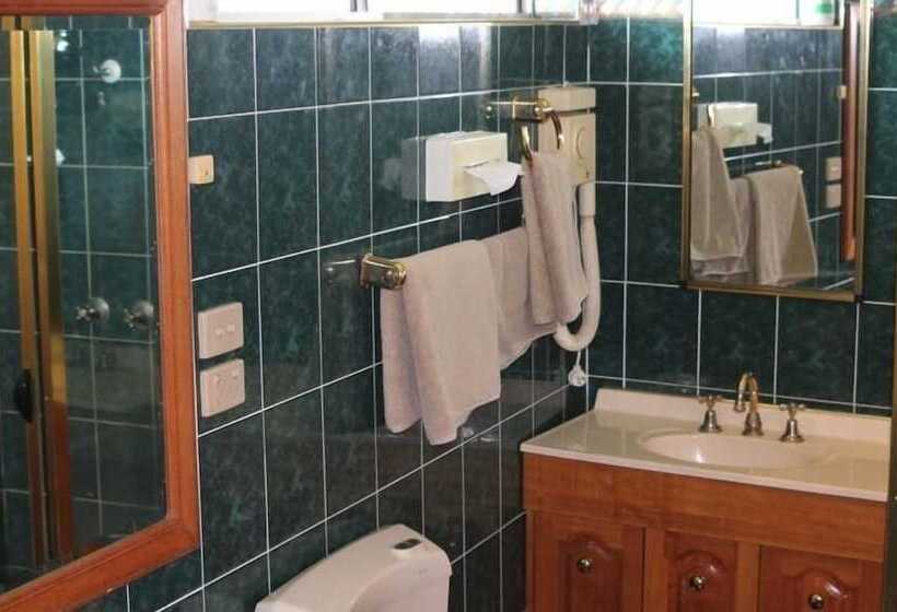 Отель Nandewar Motor Inn