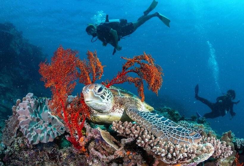 渡假胜地  Heron Island