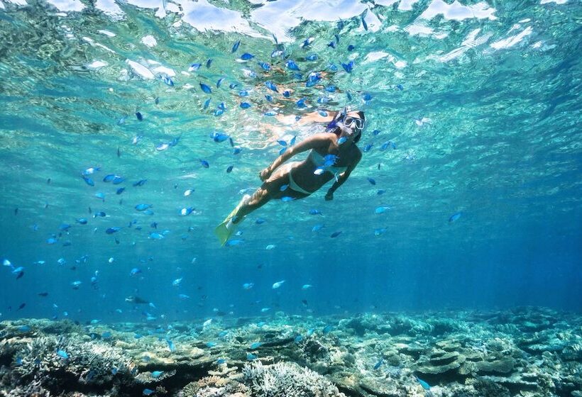 渡假胜地  Heron Island