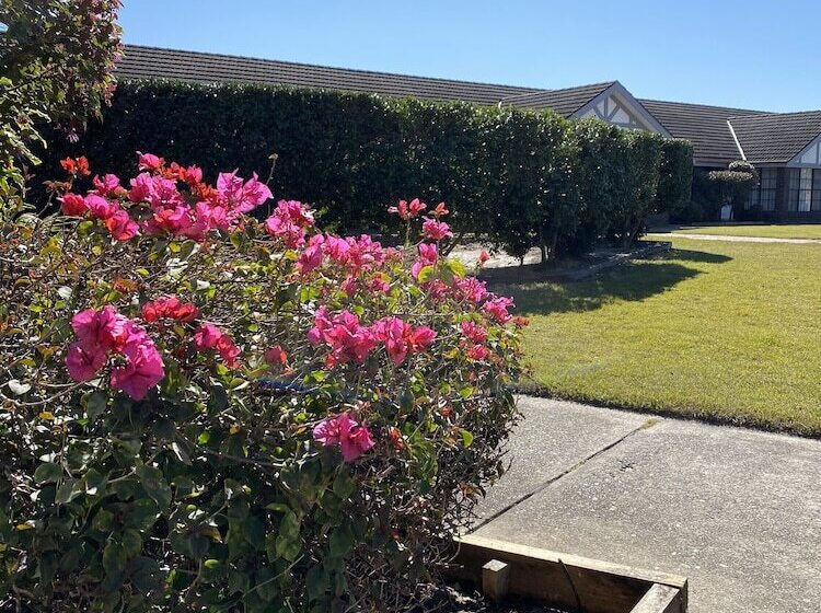 Hotel Sir Francis Drake