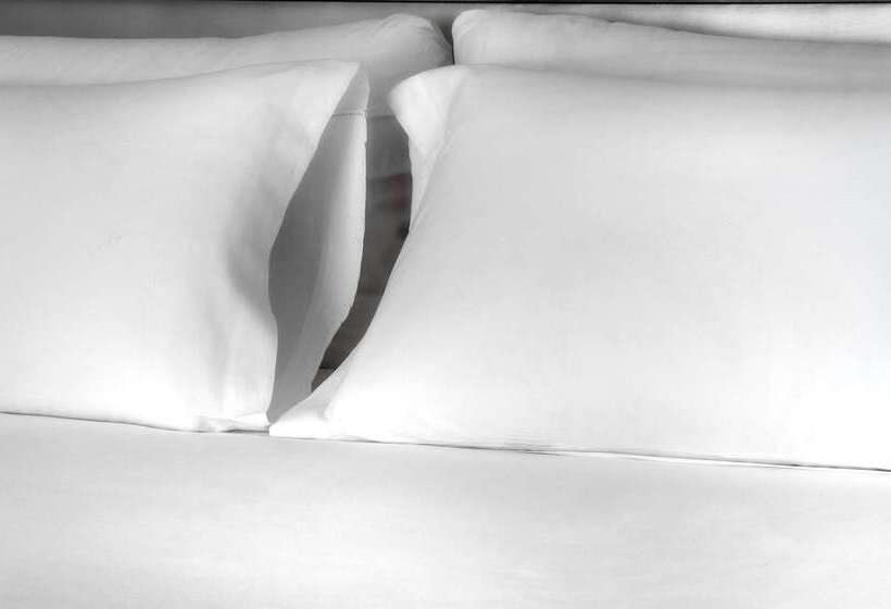 Fotos del hotel Nh Collection Buenos Aires Lancaster:  17