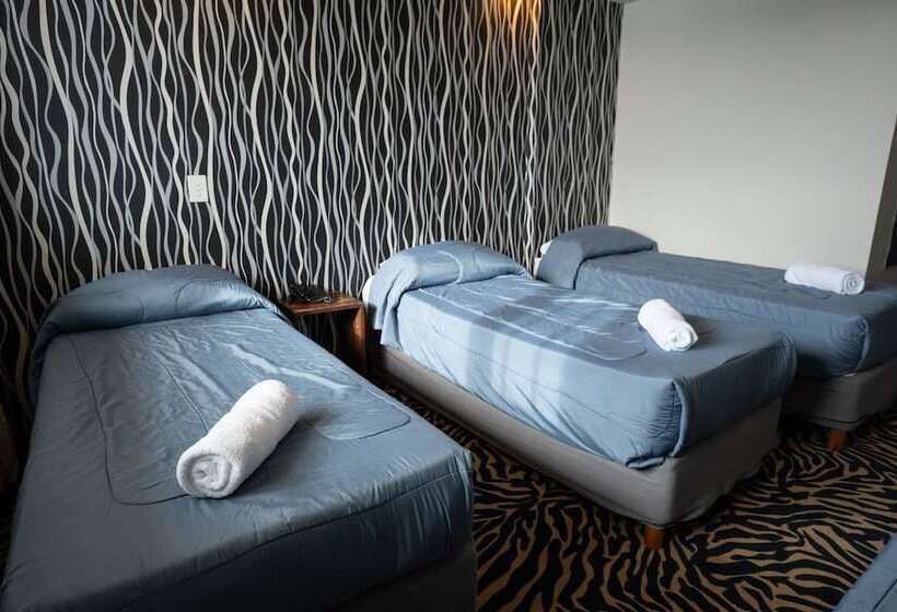 Fotos del hotel Sol Bariloche:  29 Fotos del hotel Sol Bariloche:  29