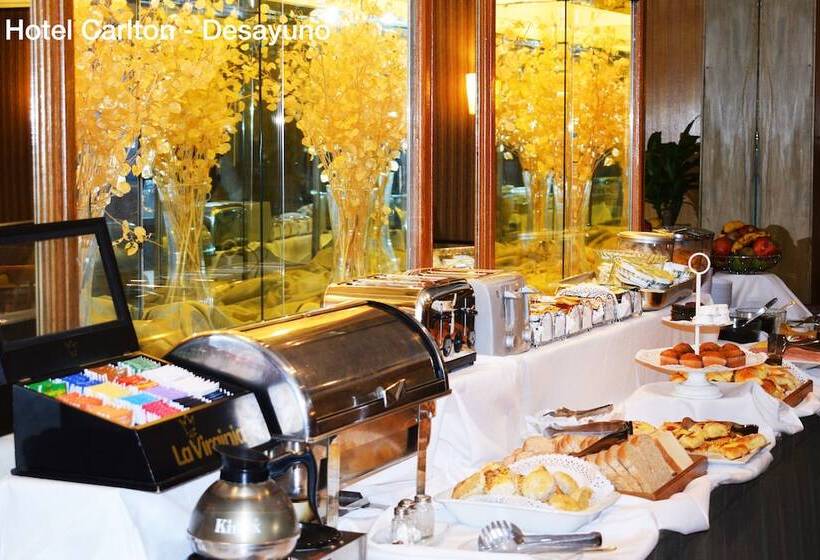 Fotos del hotel Solans Carlton:  18