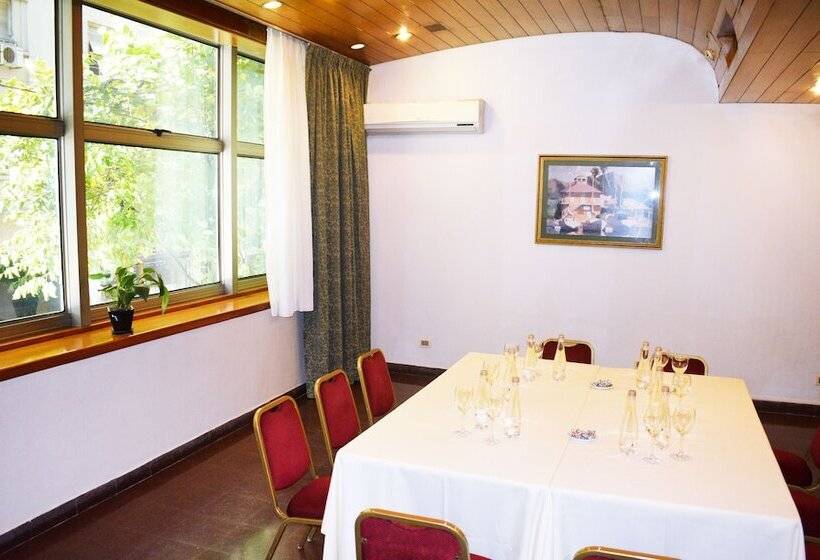 Fotos del hotel Solans Carlton:  29