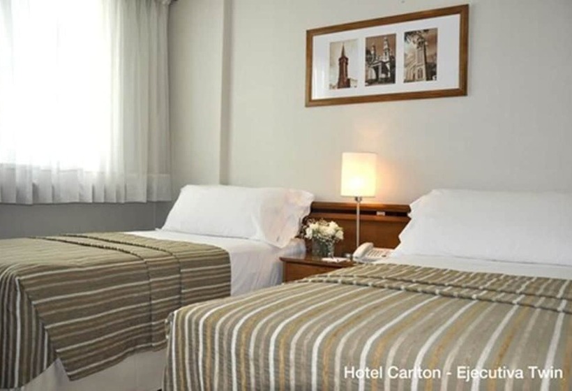 Fotos del hotel Solans Carlton:  15