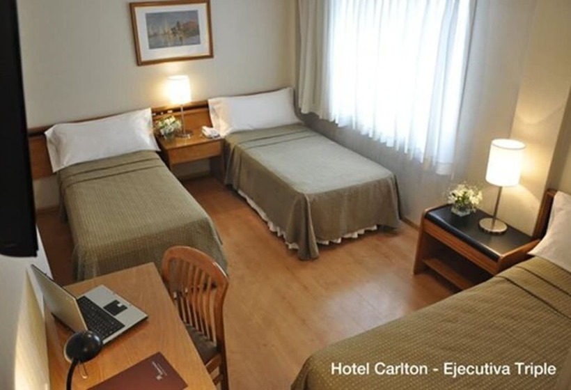 Fotos del hotel Solans Carlton:  6