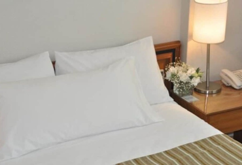 Fotos del hotel Solans Carlton:  13