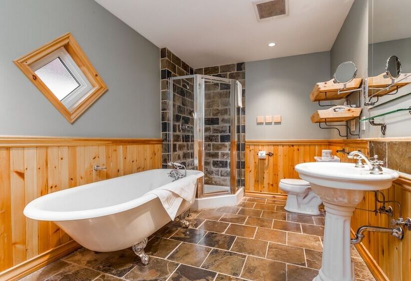 Fotos del hotel Buffalo Mountain Lodge:  4