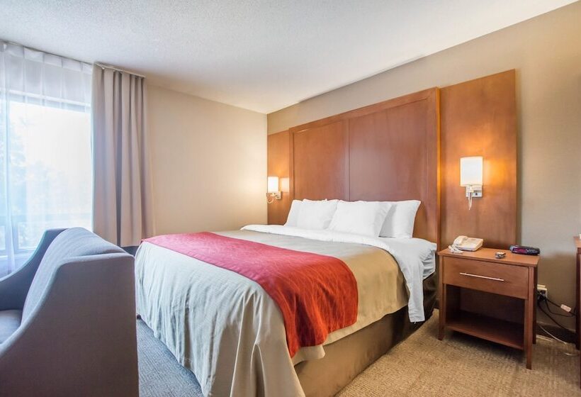 هتل Comfort Inn
