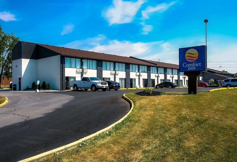 ホテル Comfort Inn  Belleville