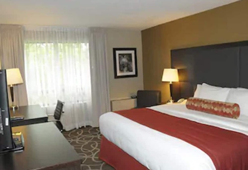 Hotel Comfort Inn Burlington