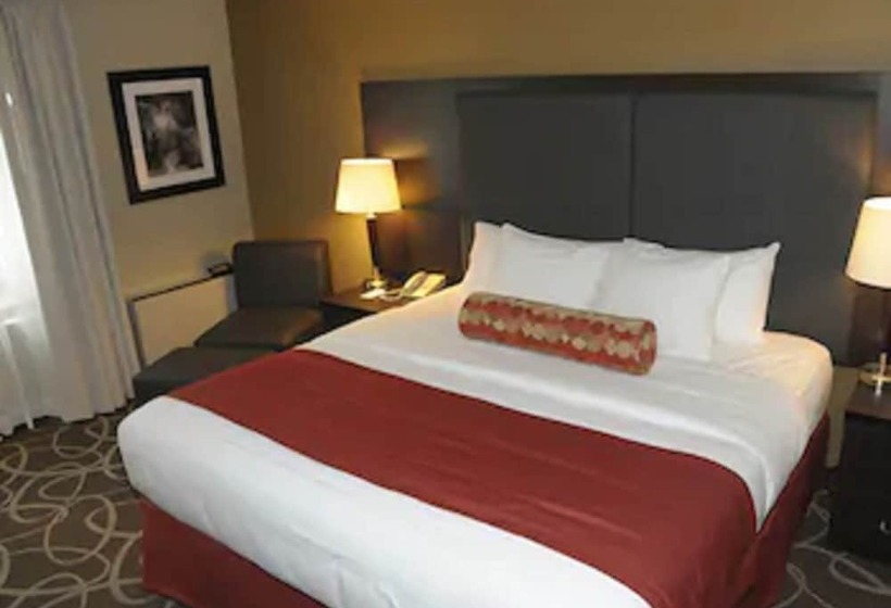 Hotel Comfort Inn Burlington