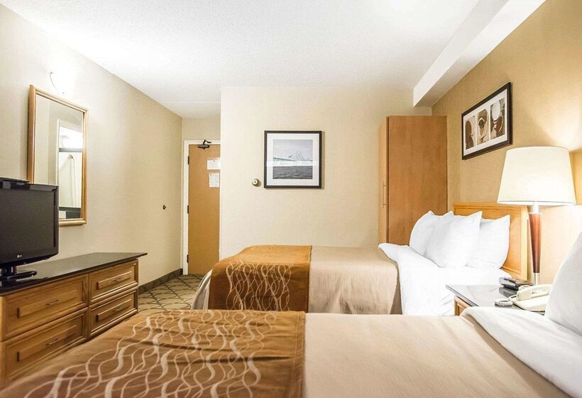 酒店 Comfort Inn