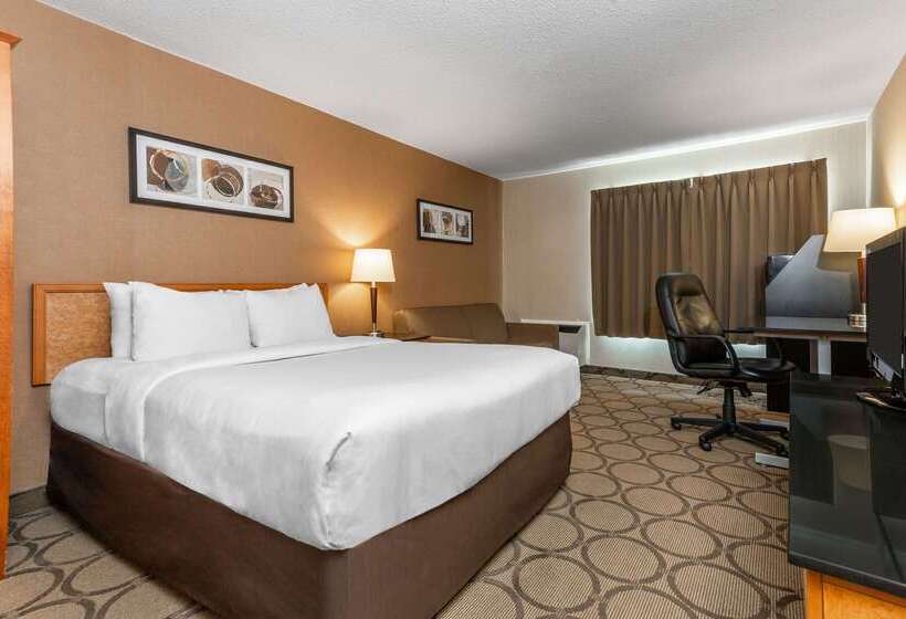 Hôtel Comfort Inn Corner Brook