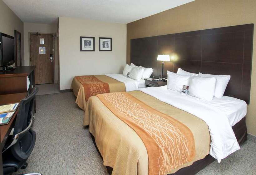 호텔 Comfort Inn