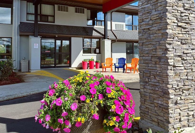 هتل Comfort Inn Dartmouth