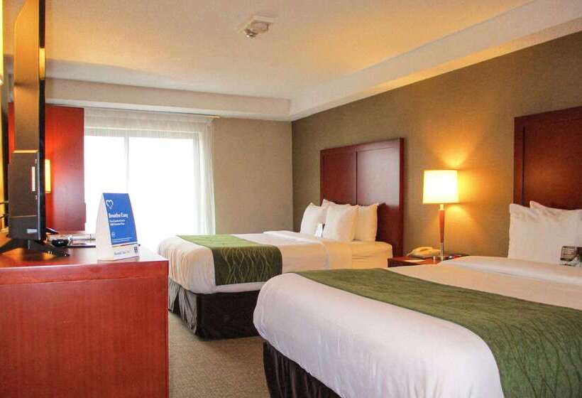 Hotel Comfort Inn Dartmouth