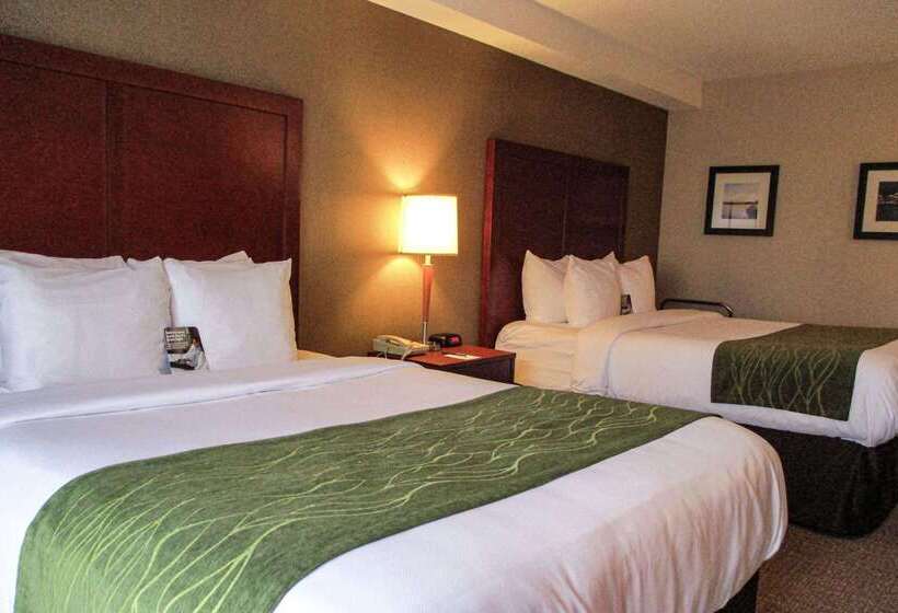 هتل Comfort Inn Dartmouth