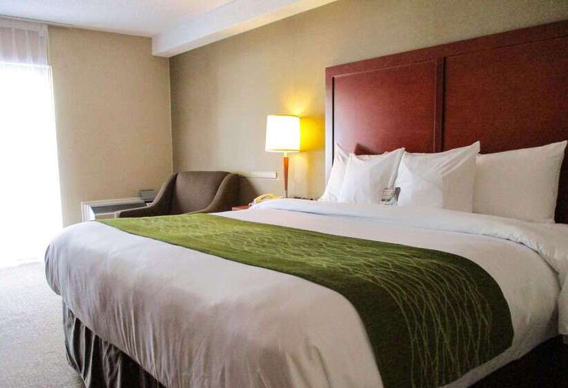 هتل Comfort Inn Dartmouth