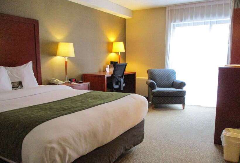 Hotel Comfort Inn Dartmouth