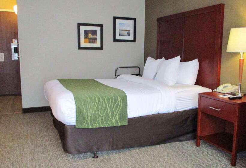 Hotel Comfort Inn Dartmouth