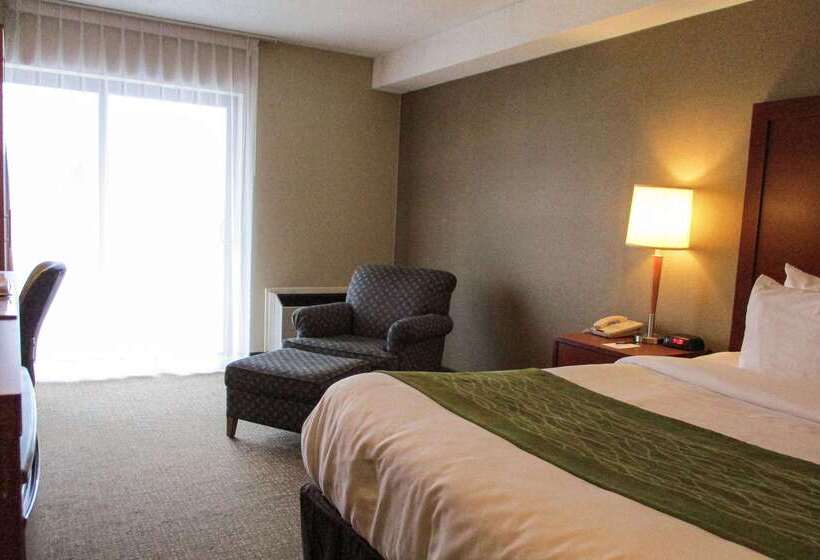 Hotel Comfort Inn Dartmouth