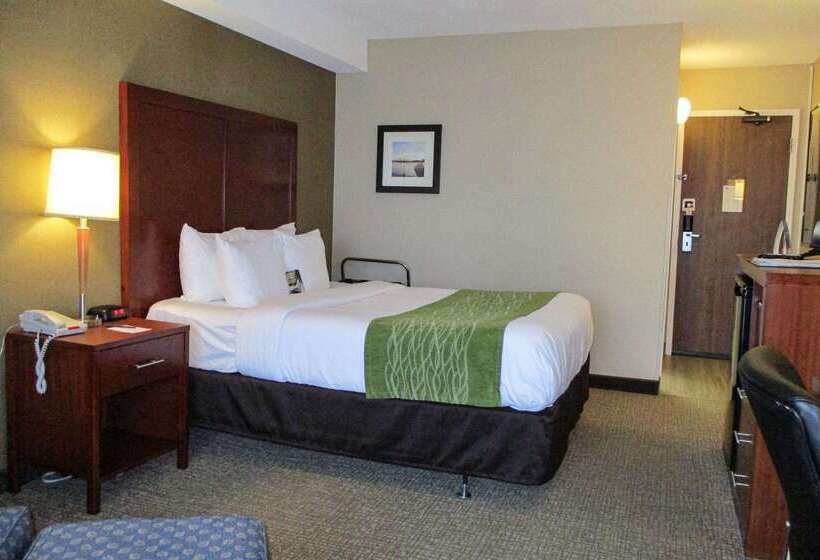 Hotel Comfort Inn Dartmouth