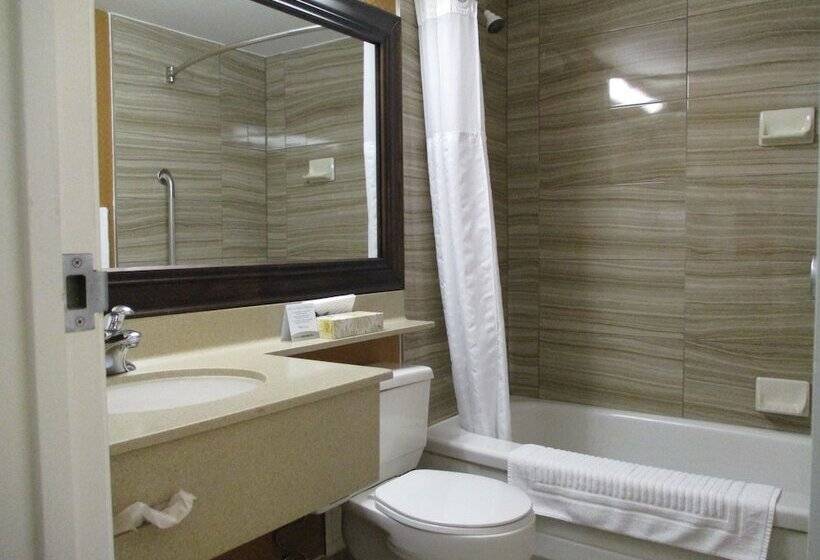 هتل Comfort Inn Dartmouth