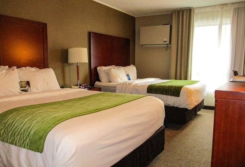 هتل Comfort Inn Dartmouth