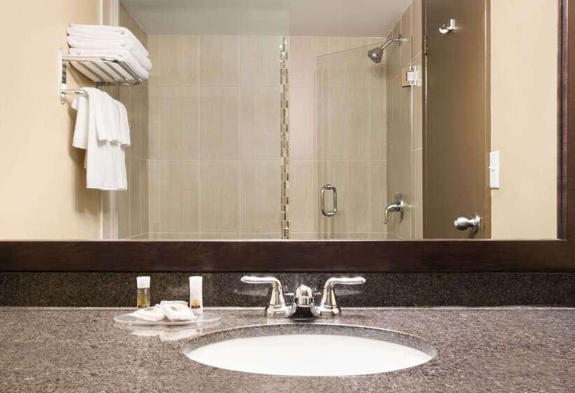 酒店 Days Inn By Wyndham Calgary Northwest