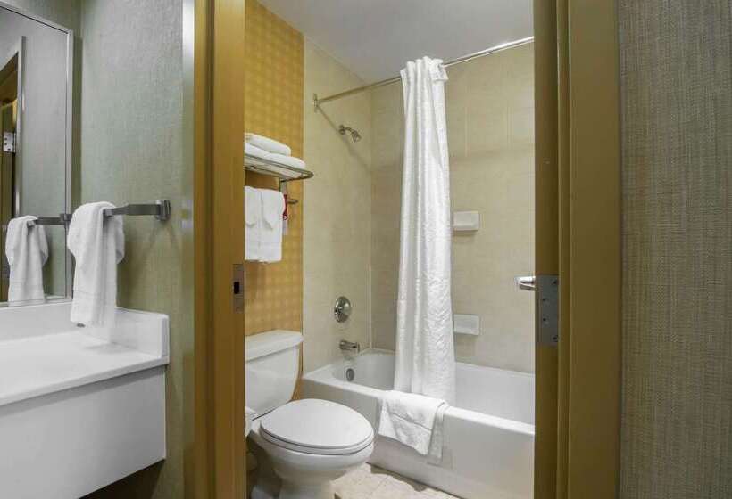 בית מלון כפרי Econo Lodge Inn & Suites University