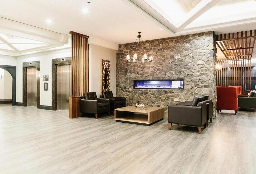 Fotos del hotel Elk + Avenue:  12