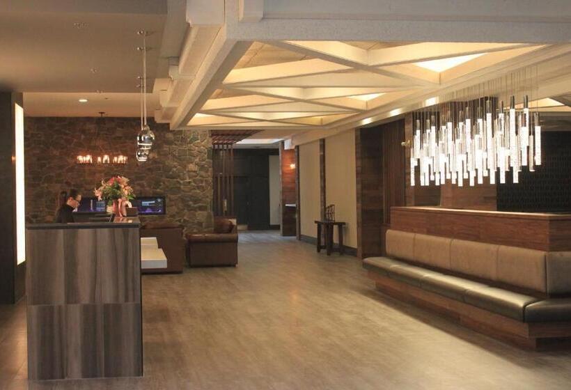 Fotos del hotel Elk + Avenue:  9