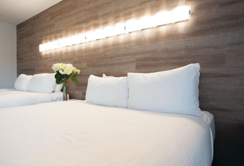 Fotos del hotel Elk + Avenue:  41