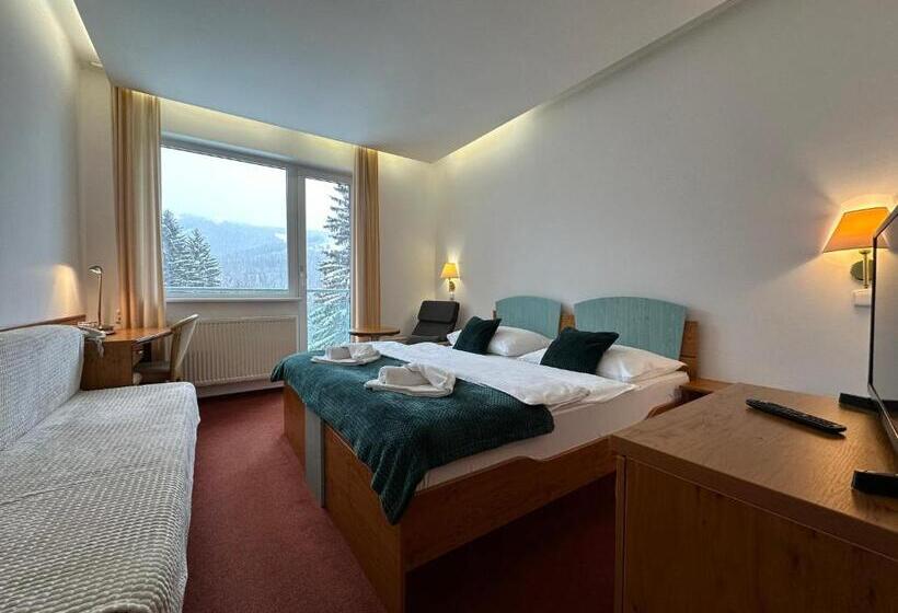 Interhotel Montana