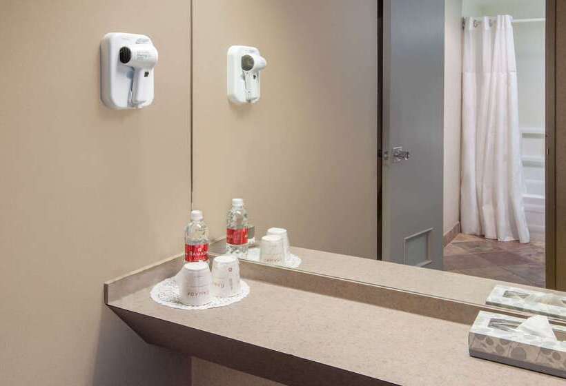 בית מלון כפרי Ramada Plaza By Wyndham Calgary Downtown