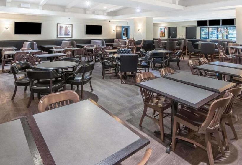 בית מלון כפרי Ramada Plaza By Wyndham Calgary Downtown