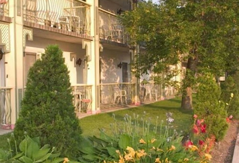 Fern Resort