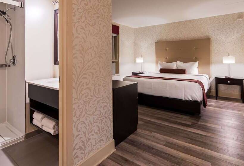 ホテル Best Western Plus Montreal Downtown  Europa